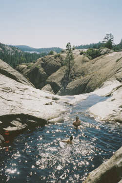 expressions-of-nature:  by Andrew Kodama