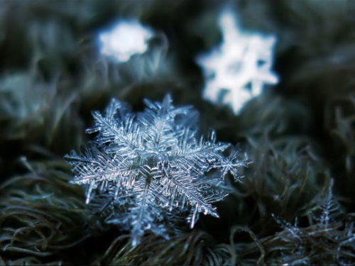 john-and-dave:  iraffiruse:  Homemade camera rig takes stunning close-up pictures of snowflakes  I swear snow is like some weird phenomena like aliens or something that shit is fucking art and you know it 