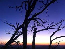 Sunset from Mount Buffalo this weekend. kind of Dali-esque..
