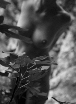 © Fig leaves and nude by Demetrios Drystellas