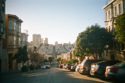 trevorinstereo:  San Francisco through the lens of a disposable camera 