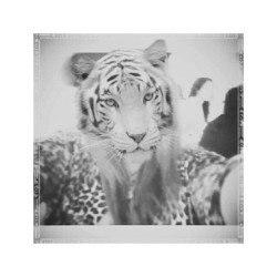 Roar. #Girl #Me #Tigerface #Instapic #Instaphoto #Picoftheday #Meow #Rawr #Animal
