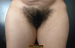 hairymex:  A bushy pussy from Hairy Sara a Hairymex.com model!… follow the link for more!