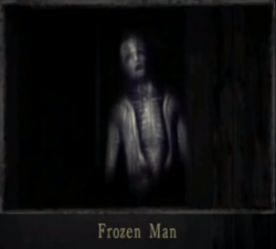 sehenzuwerden:   Frozen Man:  Frozen Man: