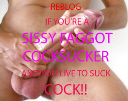 gaycurioussissy:  sissy-shemale-porn:  http://sissy-shemale-porn.tumblr.com/