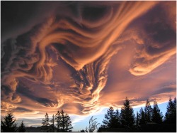 The skies keep changing (Undulatas Asperatus clouds in New Zealand &hellip; the only new cloud formation to receive its own classification since 1951)