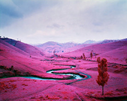 Ianbrooks:  Infrared Landscapes By Richard Mosse Taken In The Eastern Congo, Richard’s