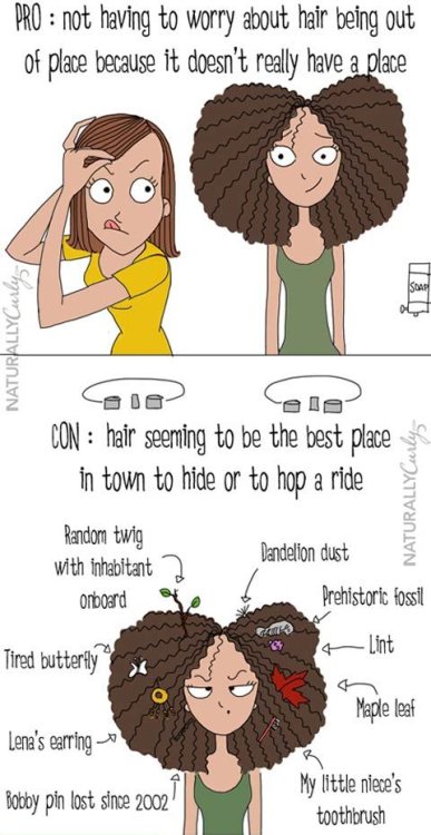 mochasims:  THE PROS AND CONS OF NATURAL HAIR 