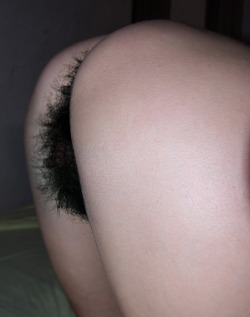 super hairy pussy and ass! amazing black pubes.