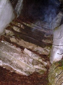 odditiesoflife:  The Haunted 1000 Steps at Greenwood Cemetery According to local legend, the staircase at the Greenwood Cemetery in Spokane, Washington, is more than just a little haunted. If you walk up the stairs without any lights on, the story goes,
