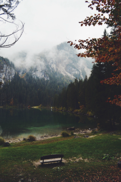 expressions-of-nature:  autumn by giubbottorosso 