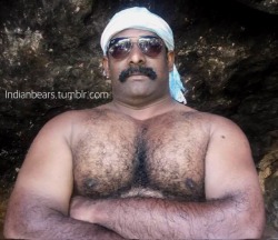 indianbears: INDIAN MUSCLE BEAR.   Probably the only dedicated INDIAN BEARS blog in Tumblr: http://INDIANbears.tumblr.com/ 