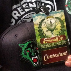 weedporndaily:  We out here!!!💨💨💨 GOOD LUCK TO ALL THE CONTESTANTS OUT THERE! As always, it’s a pleasure just to compete with you all #emeraldcup  by @greenwolfla