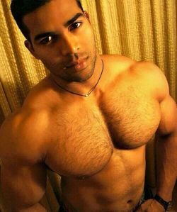 hairy-chests:  /