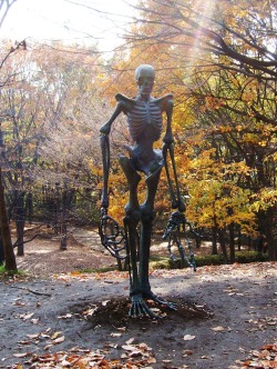 lobs:  Here we see the skeleton of a yaoi man… 