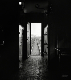whitenoten:  © Jack Delano, March 1943, View from caboose on the Atchison, Topeka &amp; Santa Fe Railroad between Belen and Gallup, New Mexico   I wish I had talent like this.