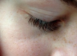 sluggoth:  my brother has the most amazing eyelashes 