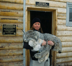 nepetea:  purrinces:  t-ardigrades:  wigmund:  pinkrocksugar:  stunningpicture:  LOOK AT ITS BIG FOOTERS  IMAGINE THE TOE BEANS ON THIS BABBY  (main image source) Lynx footsies are mostly floof   He can’t have too much bean, he lives in the chilly zone.
