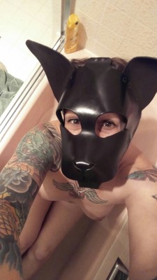 kako-pup:  puppy bath times! 