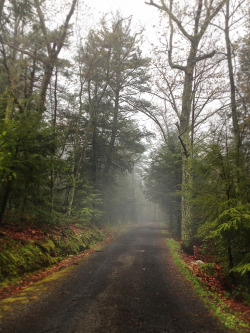 brutalgeneration:  &lsquo;Into the Mist&rsquo;, United States, New York, Minnewaska State Park (by WanderingtheWorld (www.ChrisFord.com)) 
