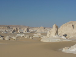 sixpenceee:  The White Desert, Egypt: The desert in the Farafra Depression is known worldwide for its alien-like, wind-eroded rock formations called Inselbergs. (Source) 