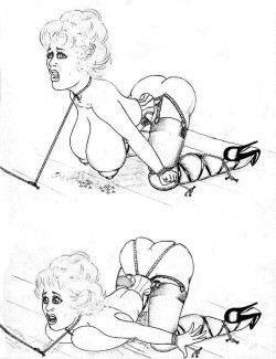  From “Big Barbara in severe Breast Bondage” by Thomas I have never found any other work by this artist, anyone know who they are or other pieces by them? 