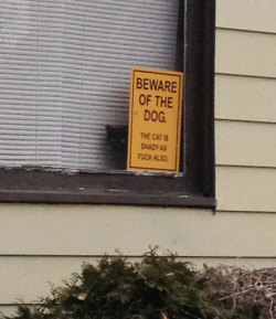 awesome-picz:  Dangerous Dogs Behind “Beware Of Dog” Signs.