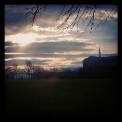 Morning shine, jogging at Ellenfield Park (en Ellenfield Park)