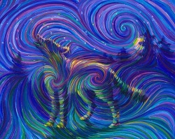 high-ryanlion-flyin:  stare at the center of gif for 30 seconds then look back at the wolf pic  Follow high-ryanlion-flyin for more trippy shitmang i always follow back   I dig it