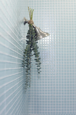  “Hang the eucalyptus upside down by tying it to your shower head with twine. When you run your shower, the steam will rise up towards the eucalyptus, filling your bathroom with the most refreshing, relaxing scent. Plus, the added greens are lovely