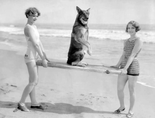 Myrna Loy and Leila Hyams carrying movie dog Rin-Tin-Tin at the beach, 1920s Nudes &amp; Noises  