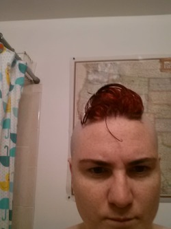 dommebadwolff23:  And the Mohawk is back with a vengeance  i heart my wolf