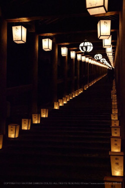 Thekimonogallery:  Night Corridor At Hase-Dera Temple, Nara, Japan 