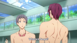 miss-nerdgasmz:  starscrossed:  idkspiritworld:  He can fucking smell Haru. I am so done.  #WHAT DOES AUSTRALIA DO TO YOU  IT TURNS YOU INTO A SHARK 