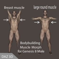 New muscle morphs now available by va-sily! &ldquo;Muscle  Morphs for Genesis 8 Male&rdquo;- I created these muscular morphs that make  the back of Genesis bodybuilding body more realistic. Ready for G8M in Daz Studio 4.9 and up!  Muscle Morphs For G8Male
