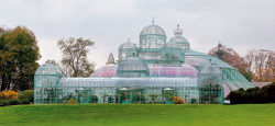 steampunktendencies:  The Royal Greenhouses