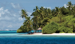 Tropical daydeams (Maldive Islands, Indian Ocean)