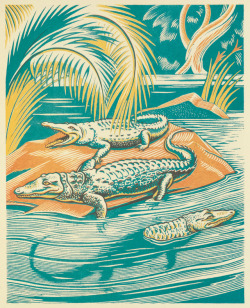 nemfrog:“The best way to treat crocodiles is to leave them alone!” Jungle Picnic. 1934. Clifford Webb, author and illustrator.