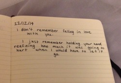 blindthoughts:  &ldquo;I don’t remember falling in love with you.  I just remember holding your hand and realizing how much it was going to hurt when I would have to let go” Journal entry 11/12/14