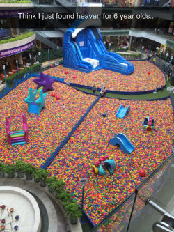 deanwasneversafe:  poppypicklesticks:  funnyandhilarious:  Paradise For Any Kid »  I’d need more then an hour in that bullpit   The fuck to do you mean for six year olds 