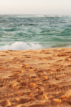candidnightmares:  Sunset Beach (by Tianna)
