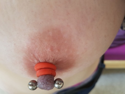 nipplepain78:  Loving wearing 2 castration bands, they hurt in such a damn sexy way!!!!