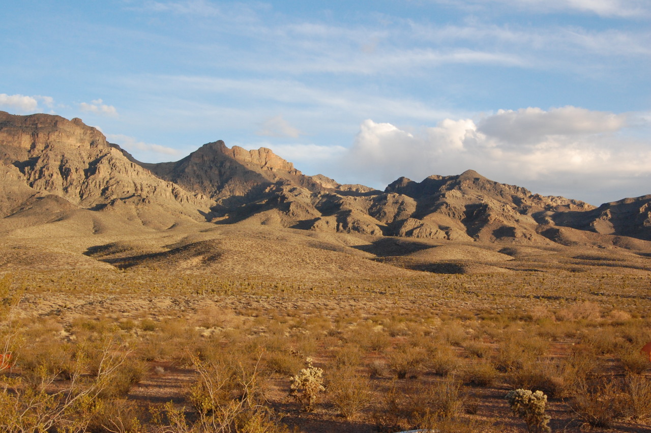 mypubliclands:  Here’s a great American Guide Week dispatch on the amazing Mojave
