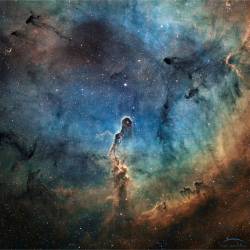 The Elephant&rsquo;s Trunk in IC 1396 #nasa #apod #elephantstrunknebula #nebula #ic1396 #starcluster #constellation #cepheus #interstellar #dust #gas #clouds #star #stars #protostars #universe #galaxy #space #science #astronomy