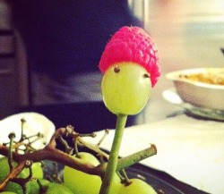 shodobear:  stunningpicture:  A grape, wearing a raspberry.  I am froot. 