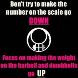 grass-fed-fitness:  Dont worry about the scale weight going down, focus on getting the weight on the barbell up.  #liftheavy and let your body do what it needs to.