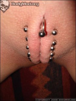 vaginalchastity:  Chastity piercings should be as common as ear piercings—just something a woman gets done.