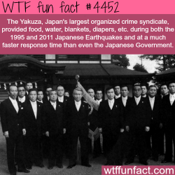 wtf-fun-factss:  The Yakuza provided food faster than the government -   WTF fun facts