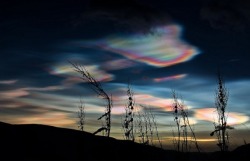 atmospheric-phenomena:  #6 Polar Stratospheric Cloud 