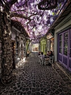 ananicola:    15+ Of The World’s Most Magical Streets Shaded By Flowers And Trees    !!!!!♡♡ 